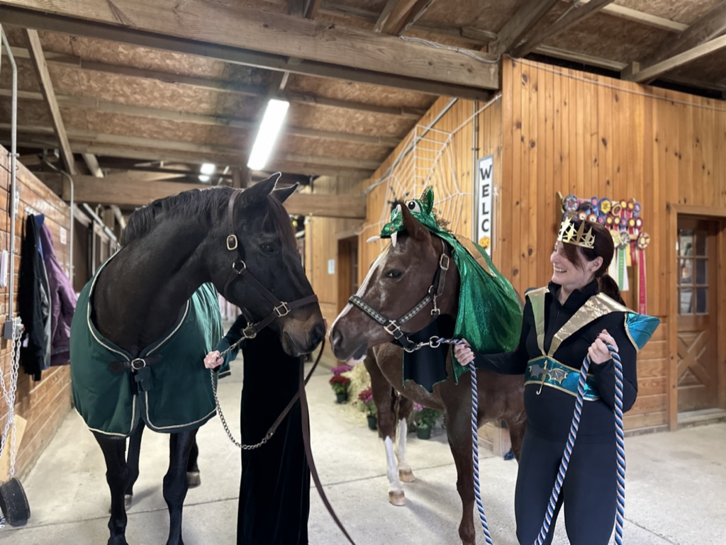Stable aisle at Furlyn Farm